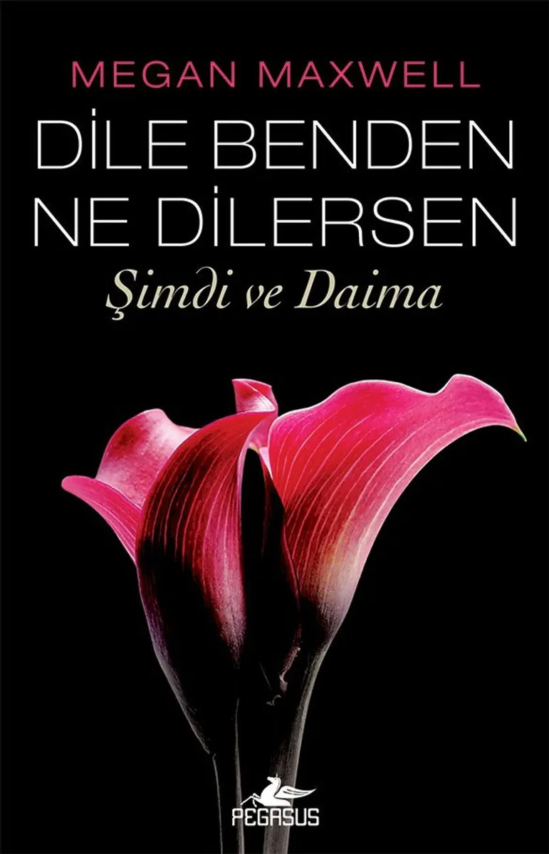 Dile Benden Ne Dilersen: Şimdi ve Daima (Dile Benden Ne Dilersen Serisi 2)