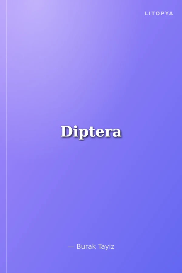Diptera