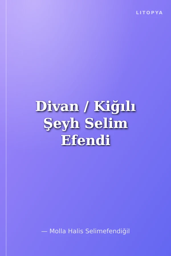 Divan / Kiğılı Şeyh Selim Efendi