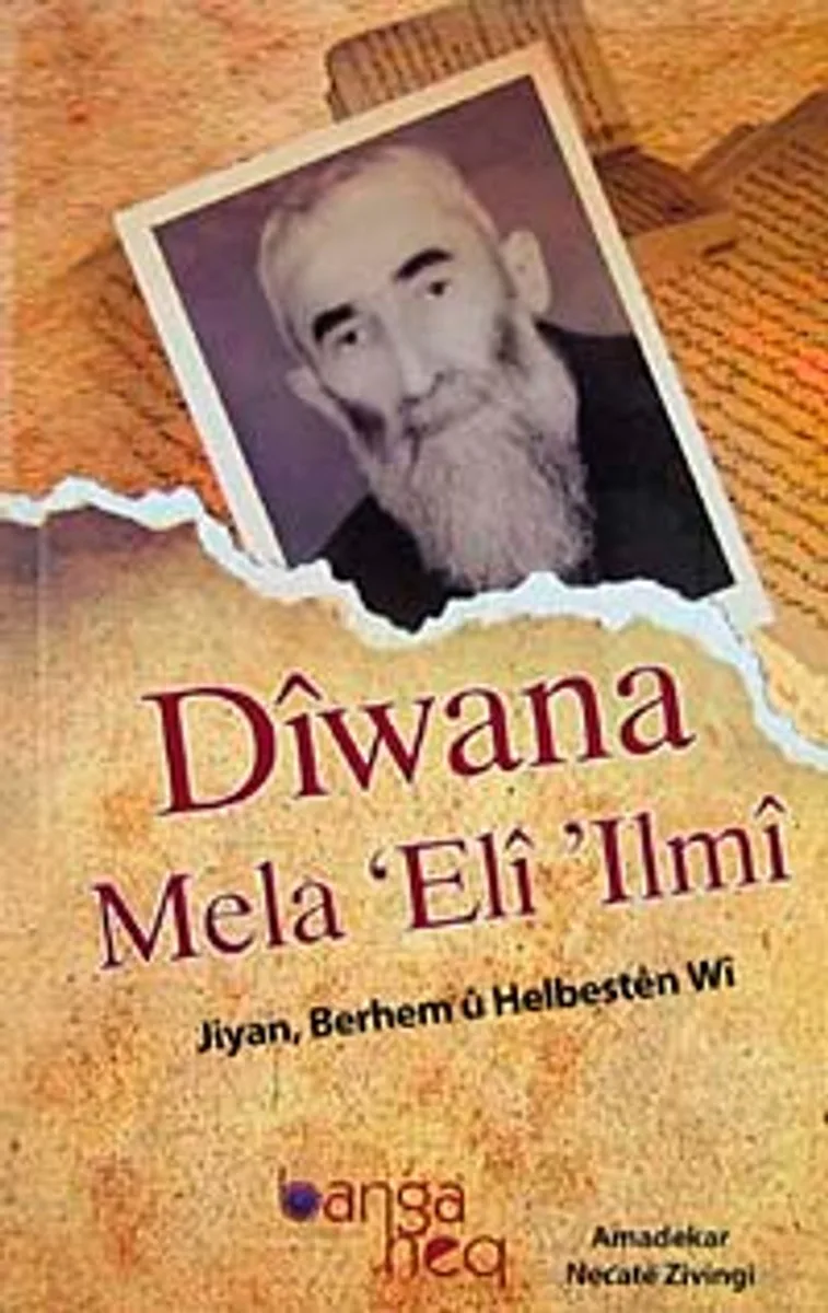 Diwana Mela Eli Ilmi Jiyan, Berhem u Helbesten Wi