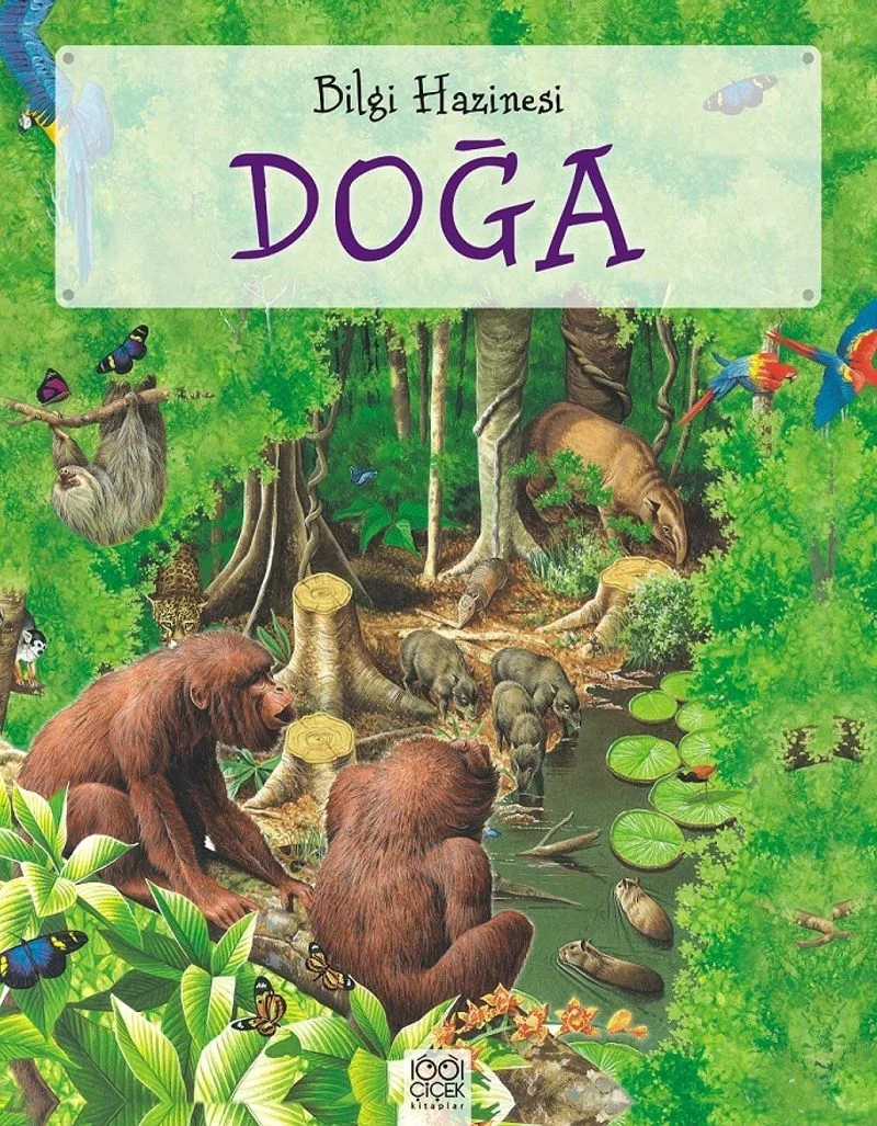 Doğa / Bilgi Hazinesi