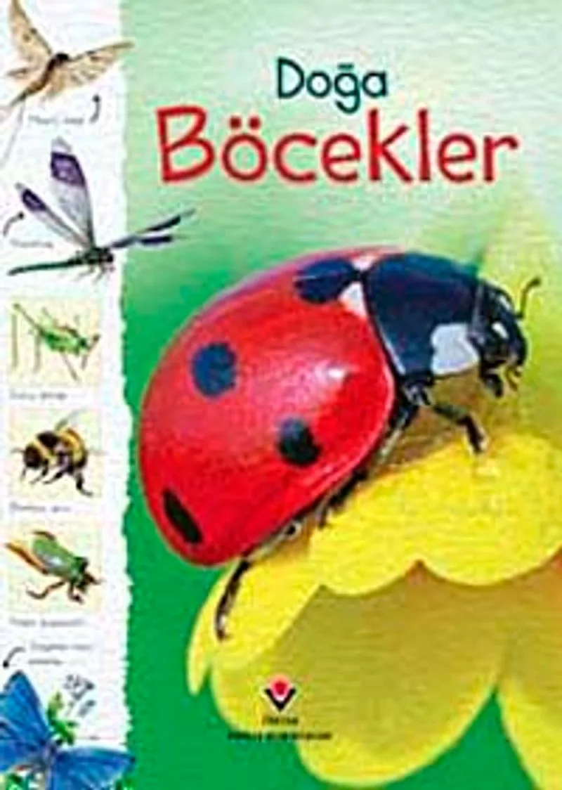 Doğa Böcekler (Ciltli)