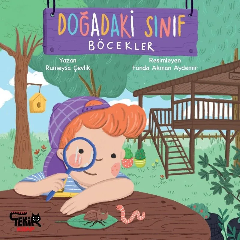Doğadaki Sınıf / Böcekler
