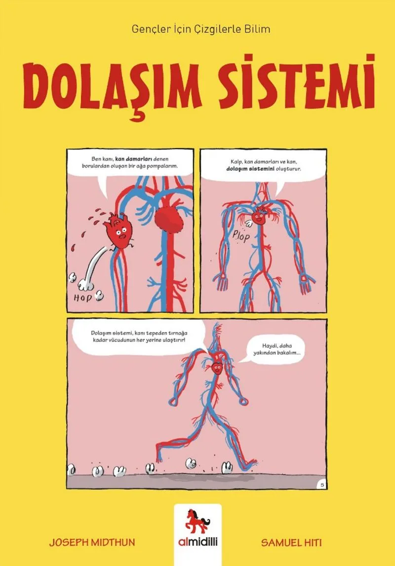 Dolaşım Sistemi / Gençler İçin Çizgilerle Bilim