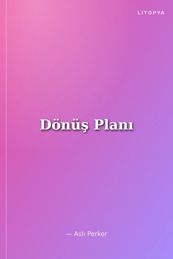 Dönüş Planı