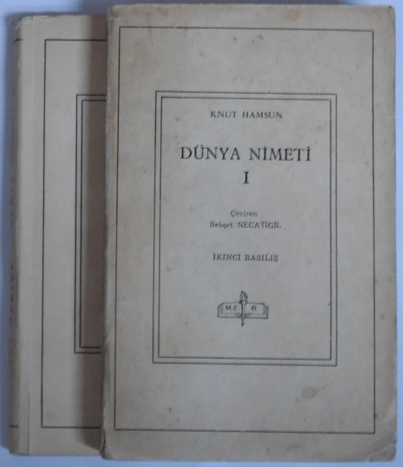 Dünya Nimeti Kod: 8-C-18