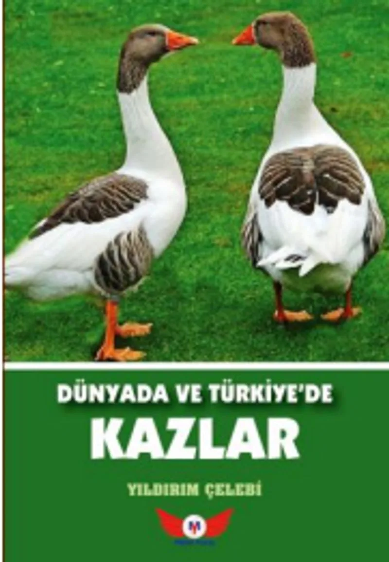 Dünyada ve Türkiye'de Kazlar