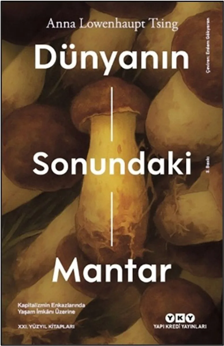 Dünyanın Sonundaki Mantar Kapitalizmin Enkazlarında Yaşam İmkanı Üzerine