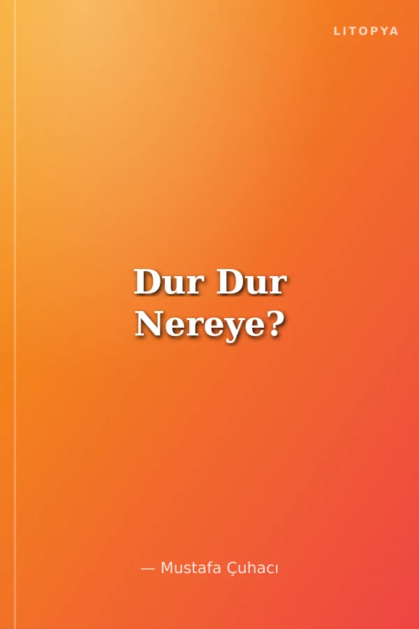 Dur Dur Nereye?