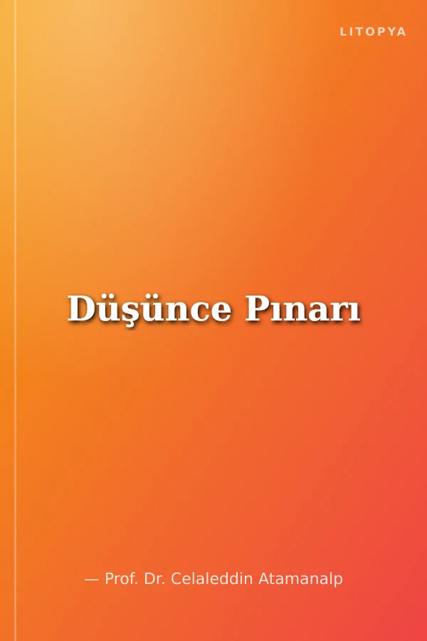 Düşünce Pınarı