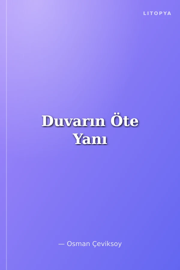 Duvarın Öte Yanı