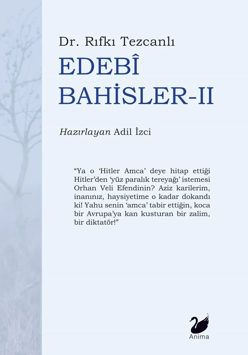 Edebi Bahisler II