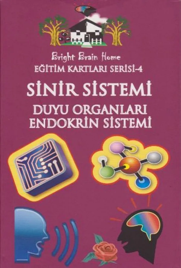 Eğitim Kartları Serisi 4 / Sinir Sistemi Duyu Organları-Endokrin Sistemi