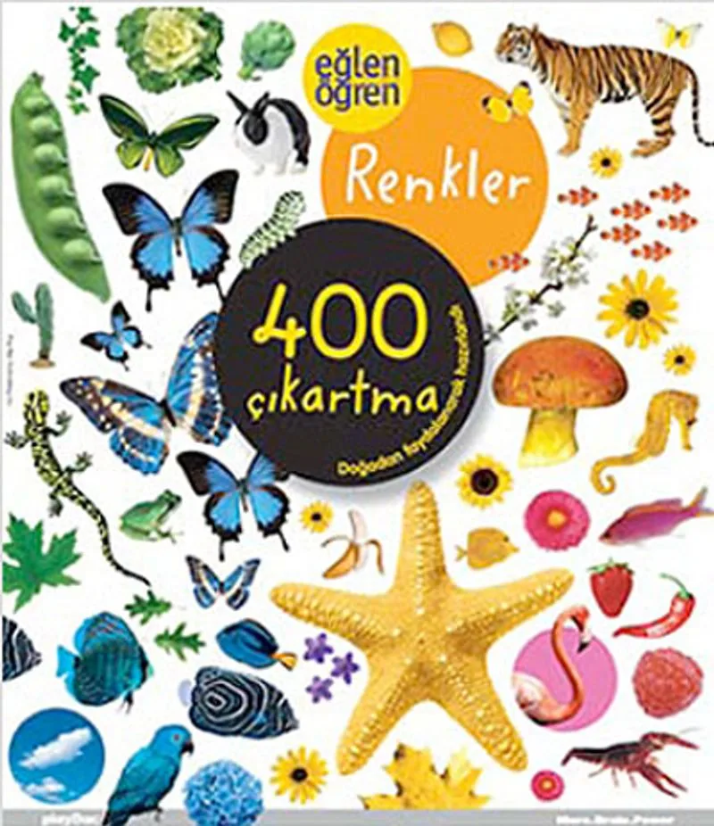 Eğlen Öğren Renkler 400 Çıkartma