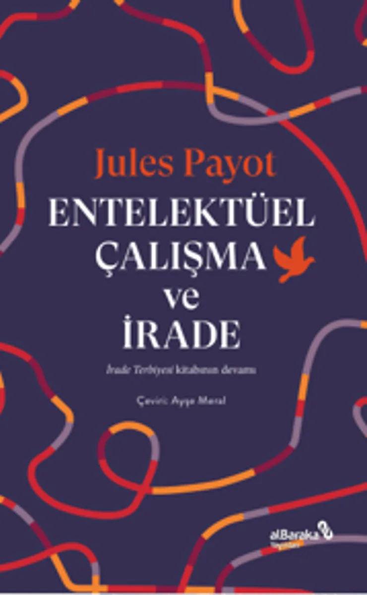 Entelektüel Çalışma ve İrade