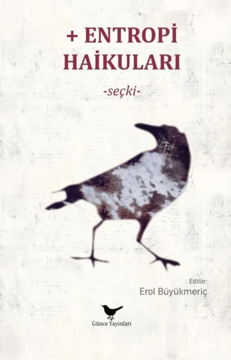 Entropi Haikuları