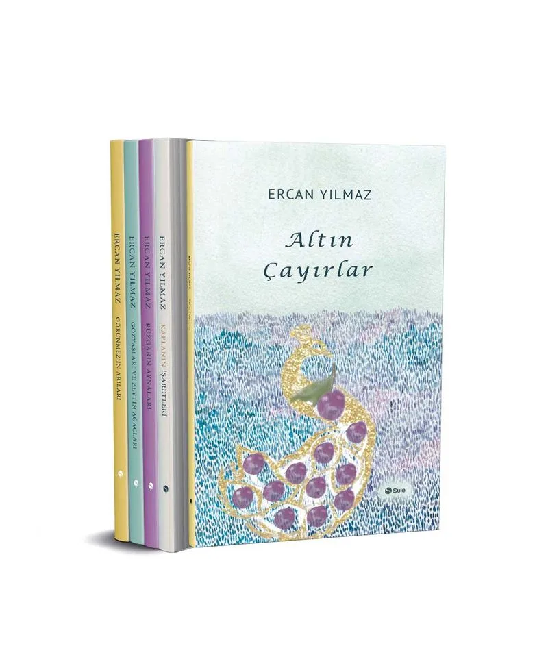 Ercan Yılmaz Seti (5 Kitap)