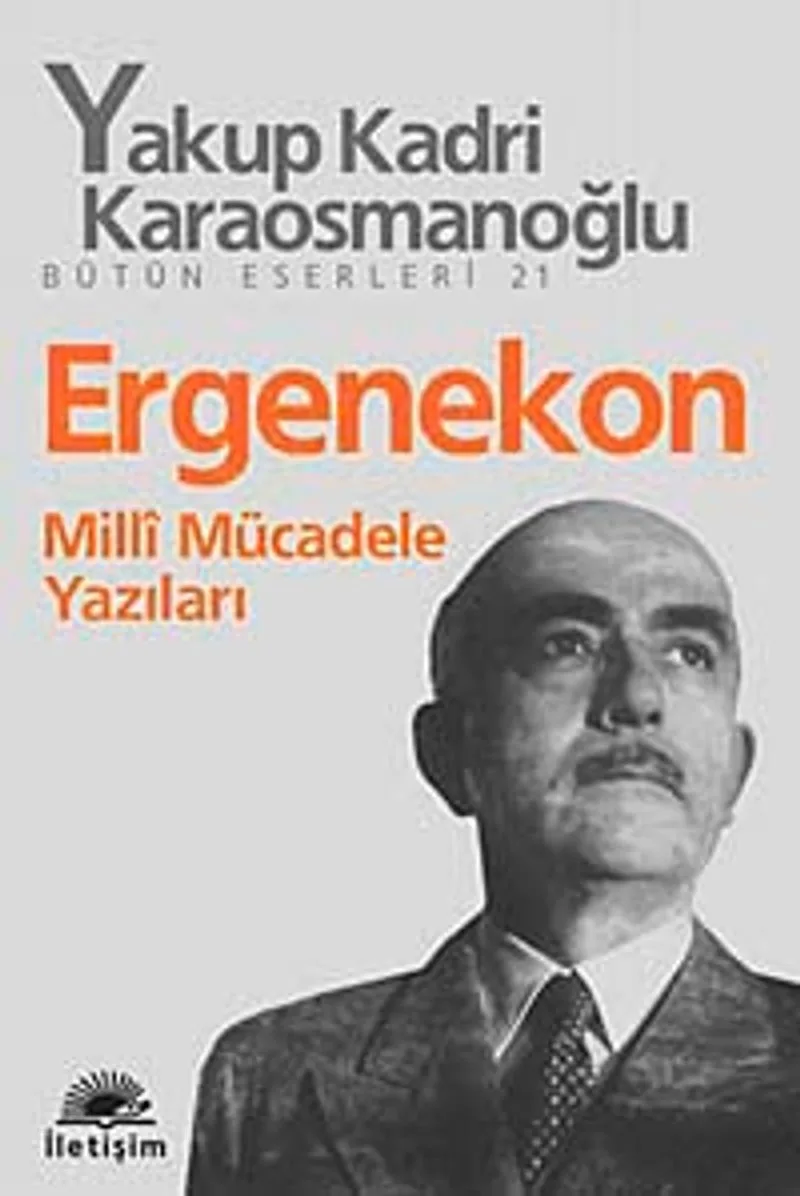 Ergenekon Milli Mücadele Yazıları