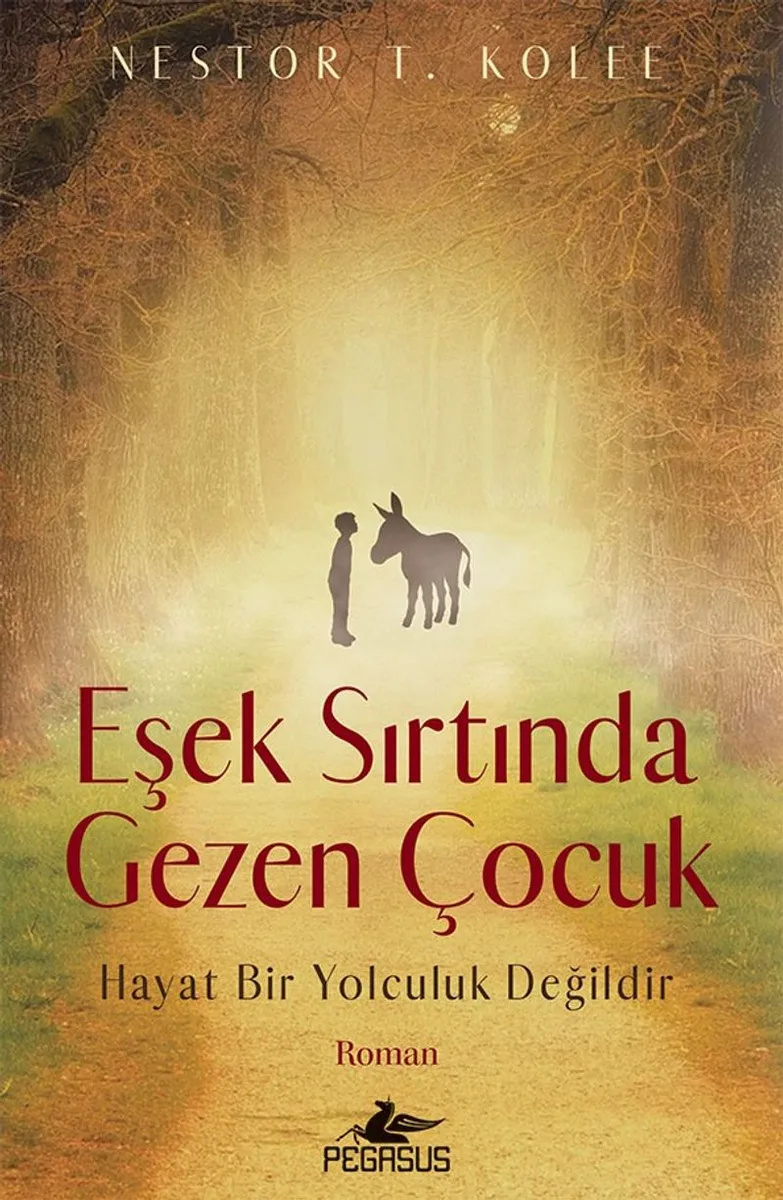 Eşek Sırtında Gezen Çocuk Hayat Bir Yolculuk Değildir
