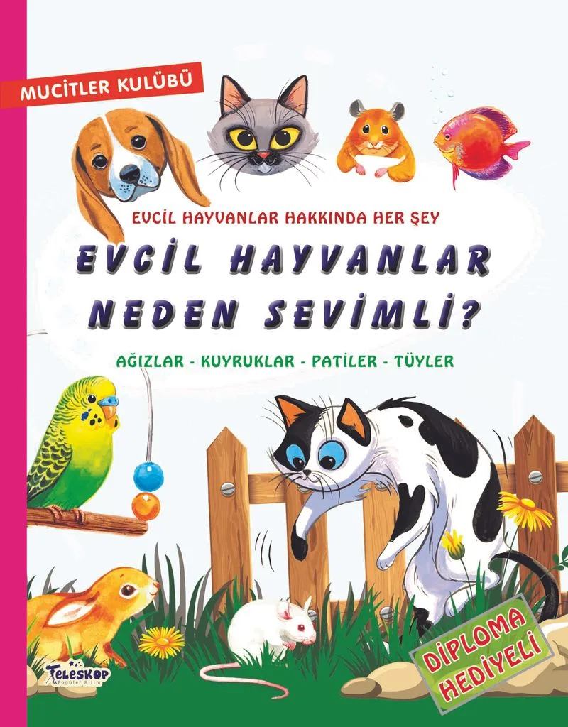 Evcil Hayvanlar Neden Sevimli? / Mucitler Kulübü