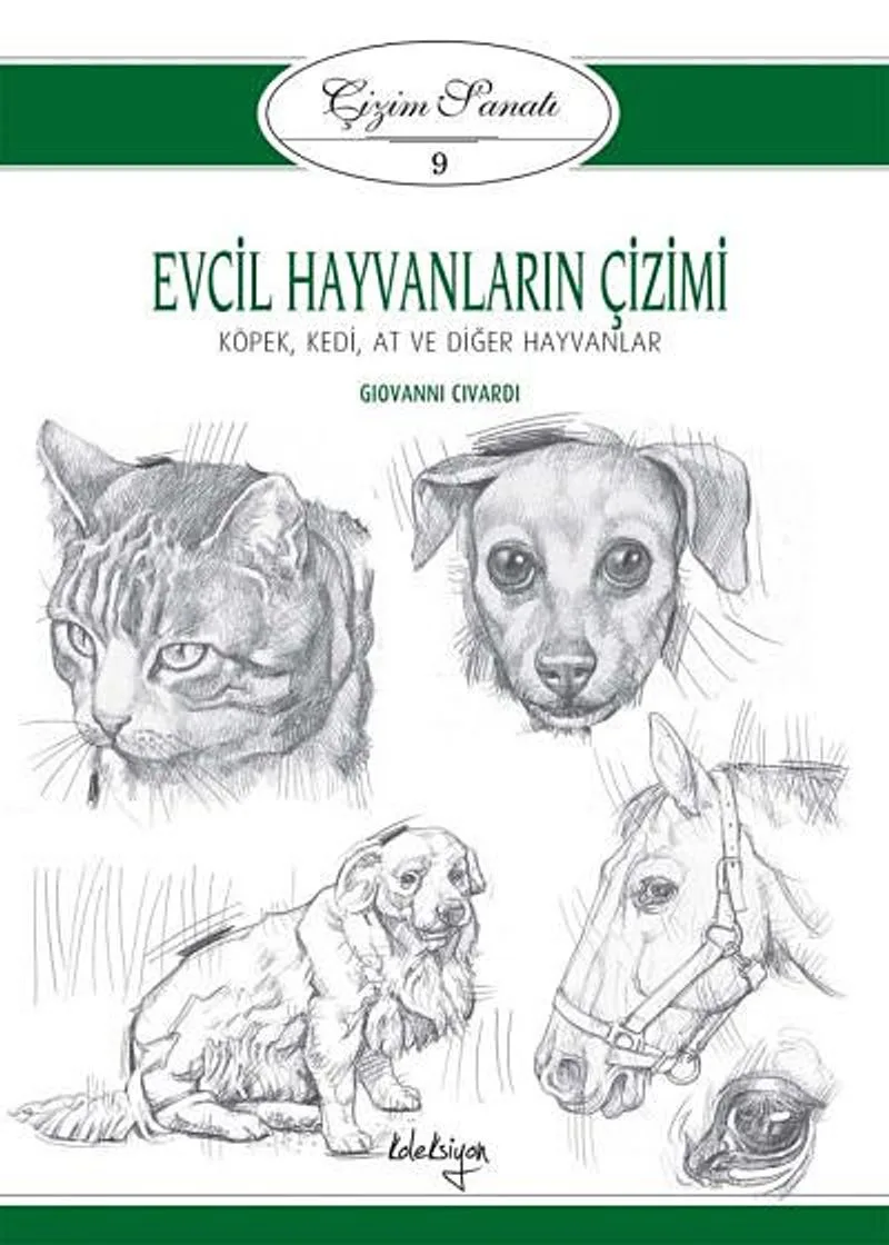 Evcil Hayvanların Çizimi / Çizim Sanatı 9 Köpek, Kedi, At ve Diğer Hayvanlar