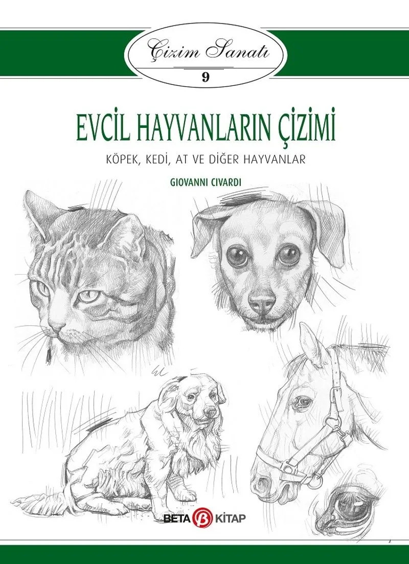 Evcil Hayvanların Çizimi