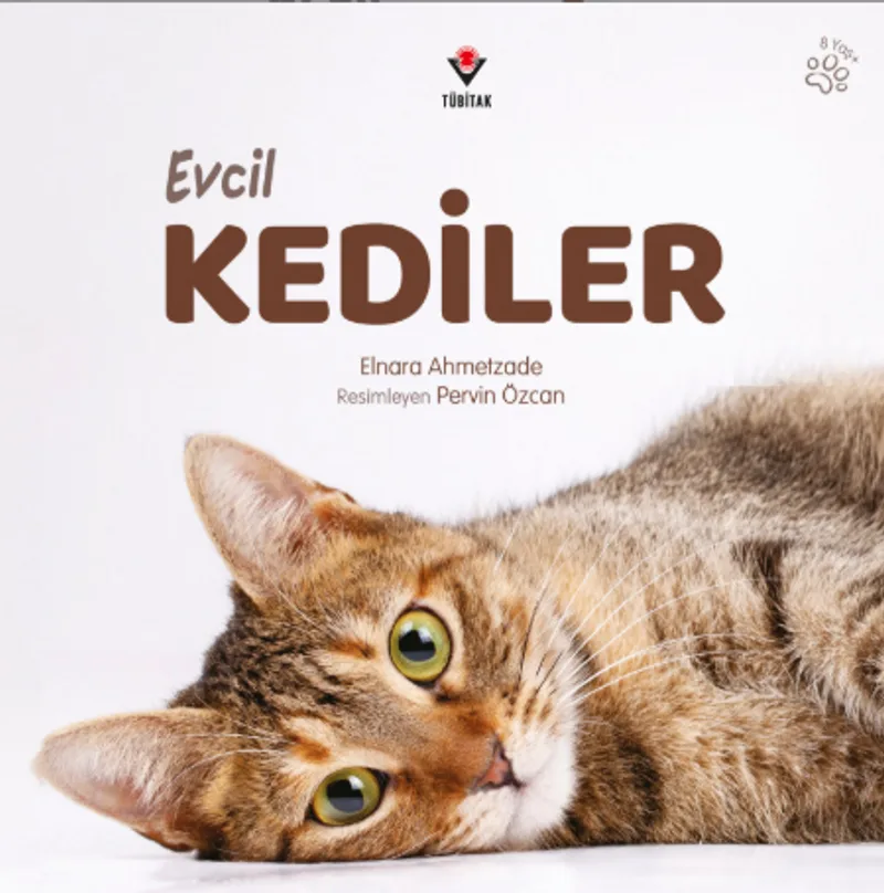 Evcil Kediler