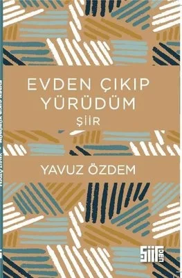 Evden Çıkıp Yürüdüm