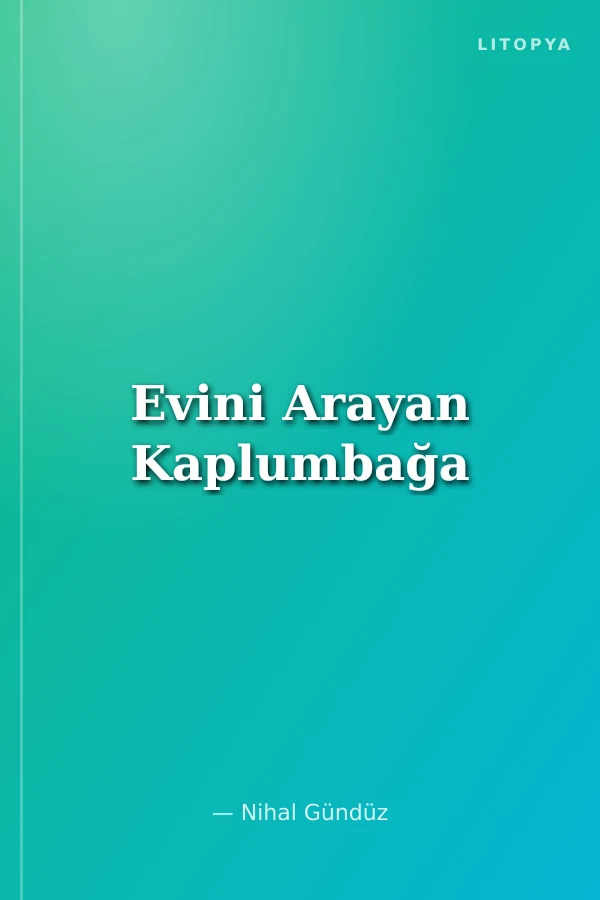 Evini Arayan Kaplumbağa