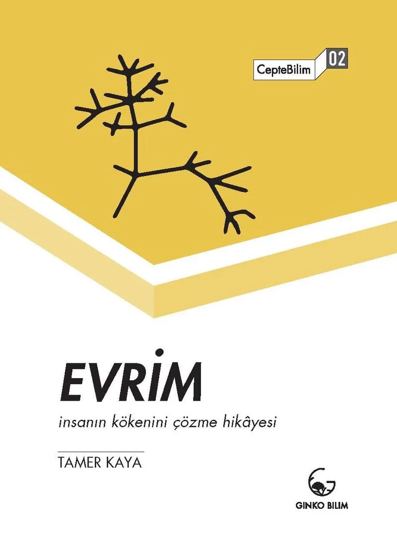 Evrim İnsanın Kökenini Çözme Hikayesi