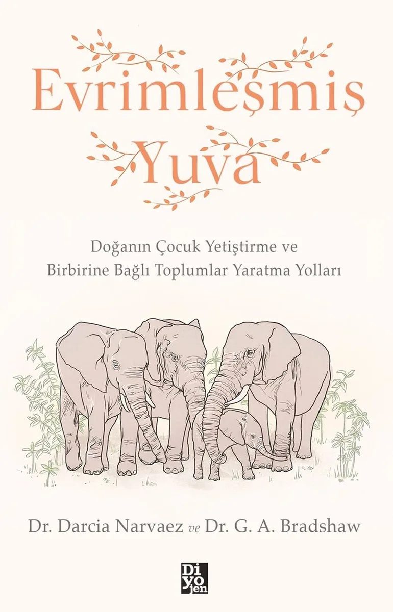 Evrimleşmiş Yuva