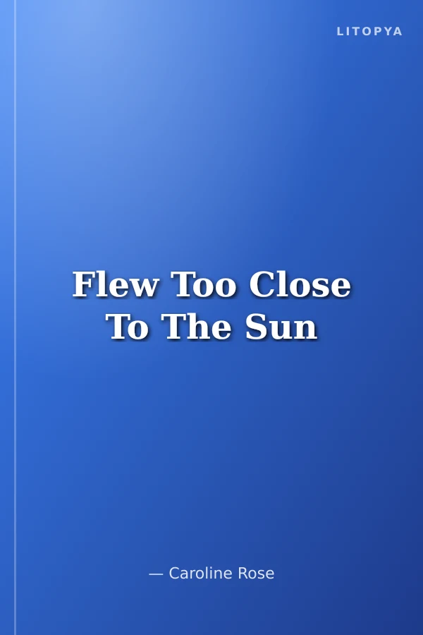 Flew Too Close To The Sun