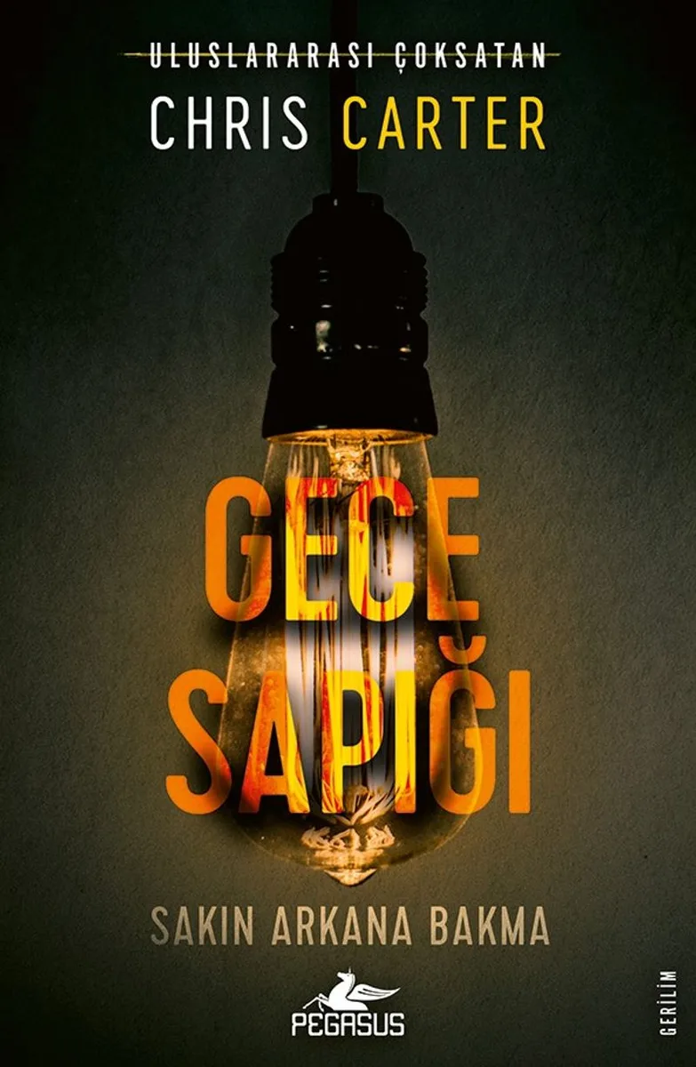 Gece Sapığı / Robert Hunter 3