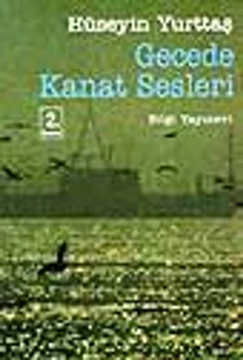Gecede Kanat Sesleri