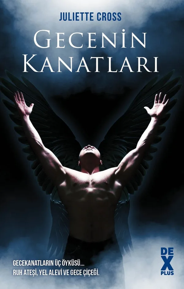 Gecenin Kanatları