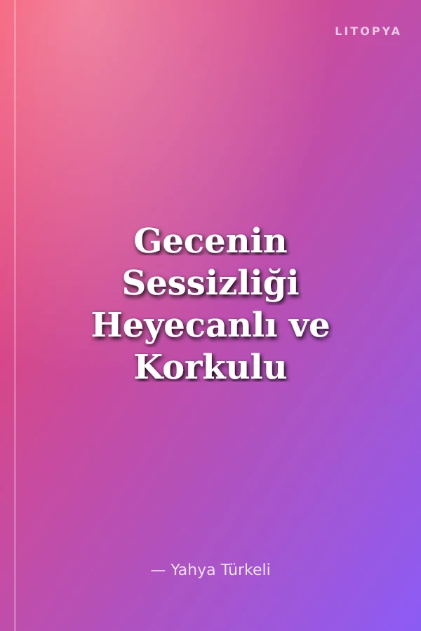 Gecenin Sessizliği Heyecanlı ve Korkulu Anlar