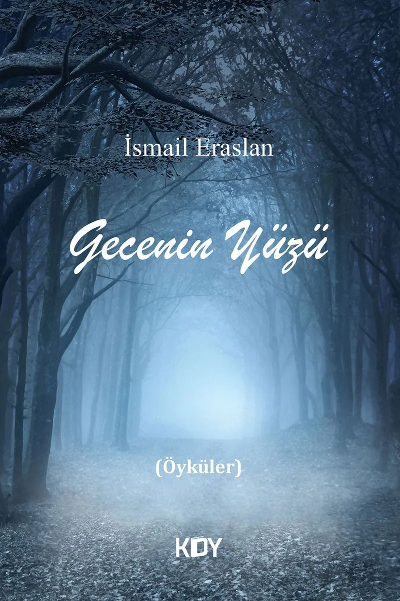 Gecenin Yüzü