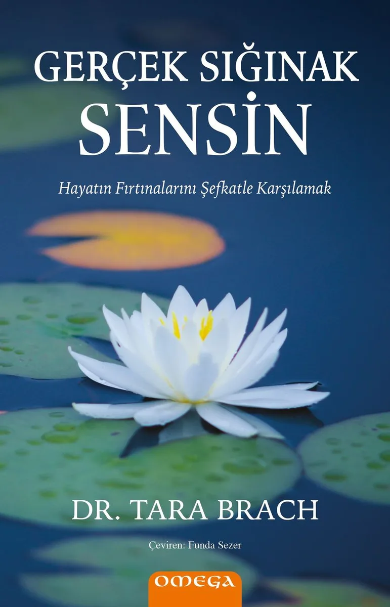 Gerçek Sığınak Sensin Hayatın Fırtınalarını Şefkatle Karşılamak