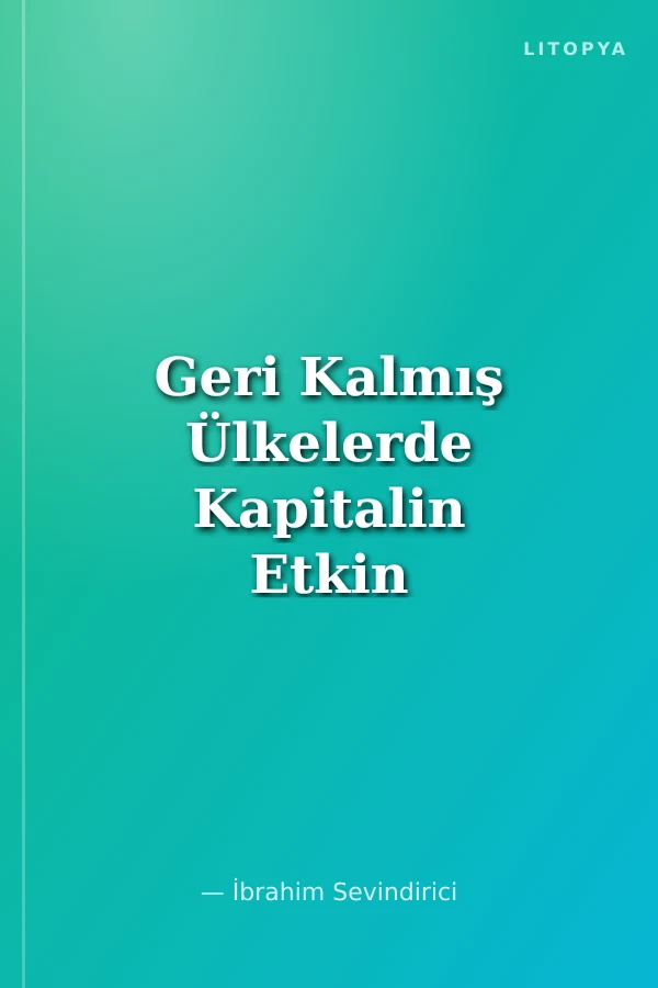 Geri Kalmış Ülkelerde Kapitalin Etkin Kullanılamayışı ve Türkiye