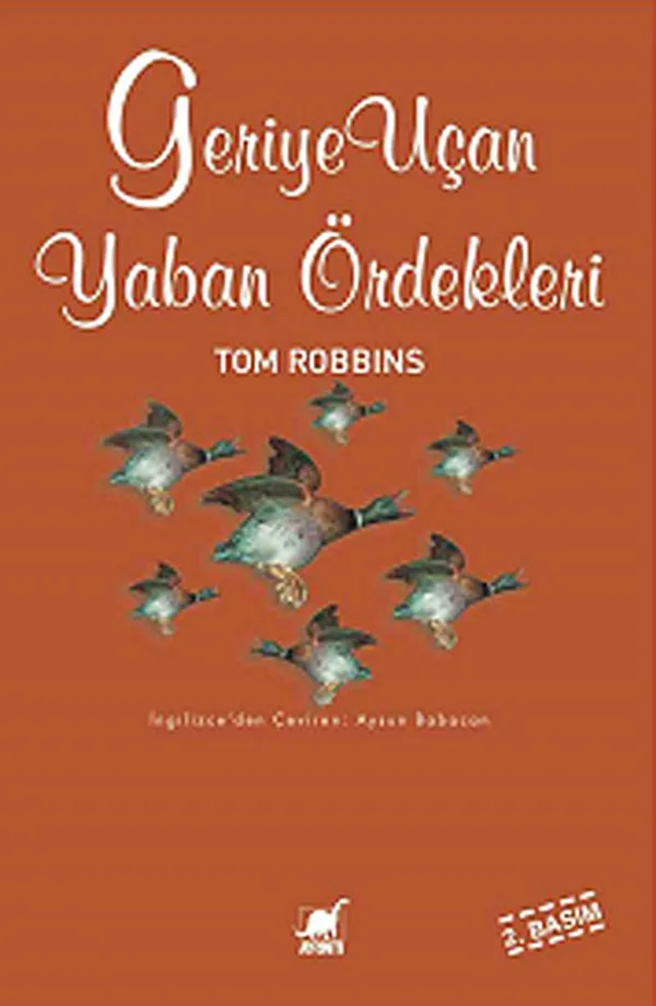 Geriye Uçan Yaban Ördekleri