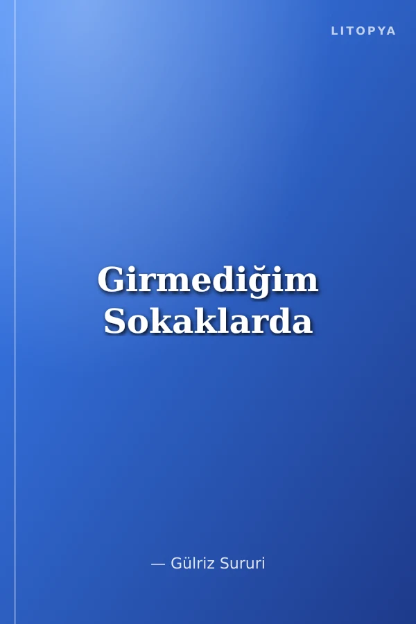 Girmediğim Sokaklarda