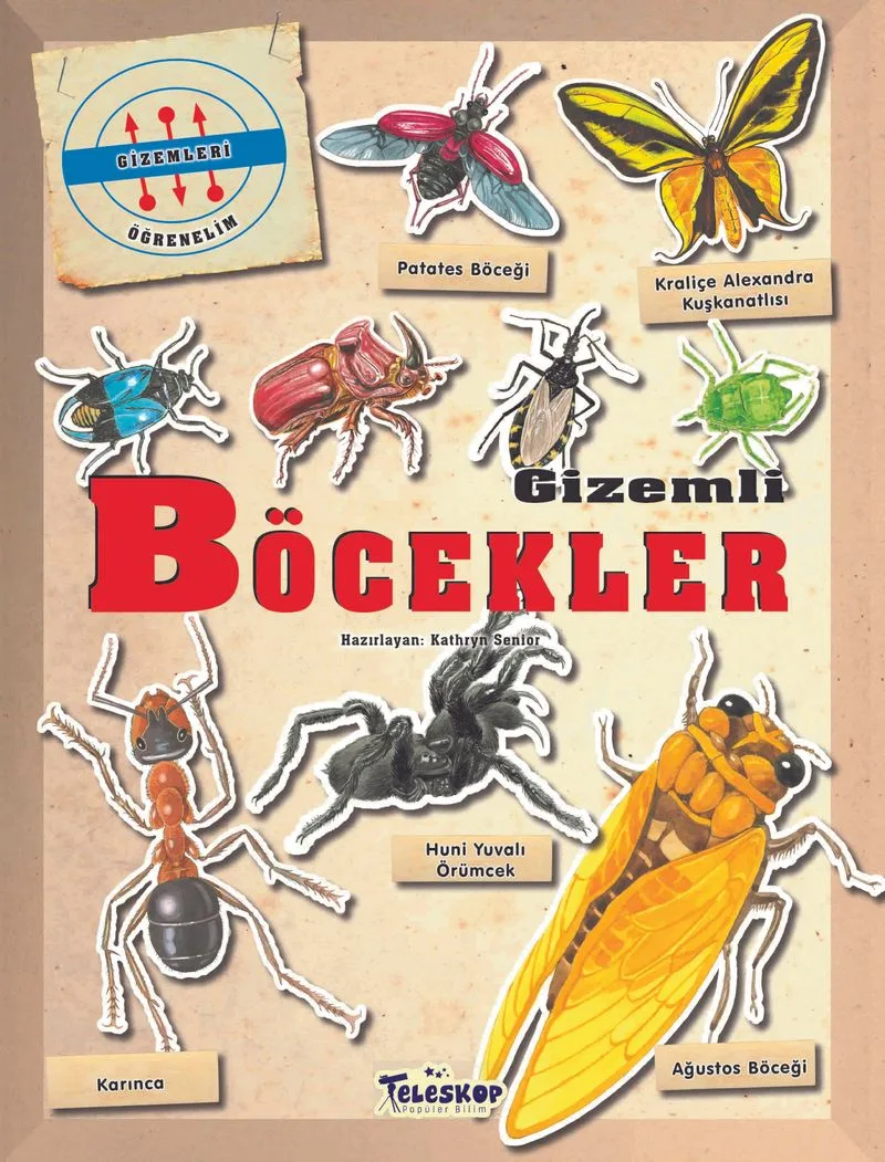 Gizemleri Öğrenelim - Gizemli Böcekler