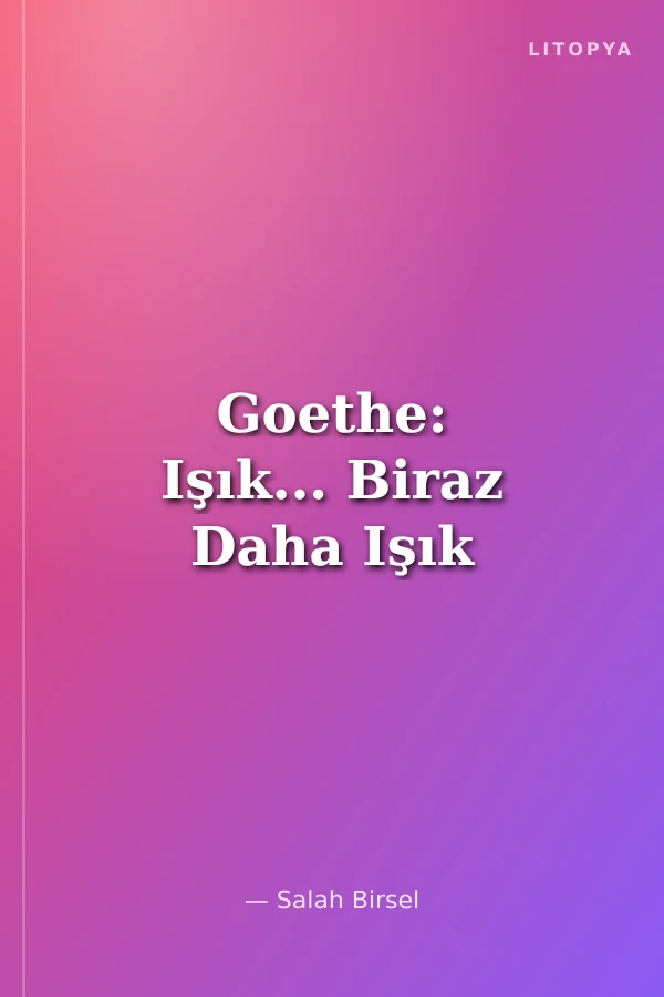 Goethe: Işık... Biraz Daha Işık