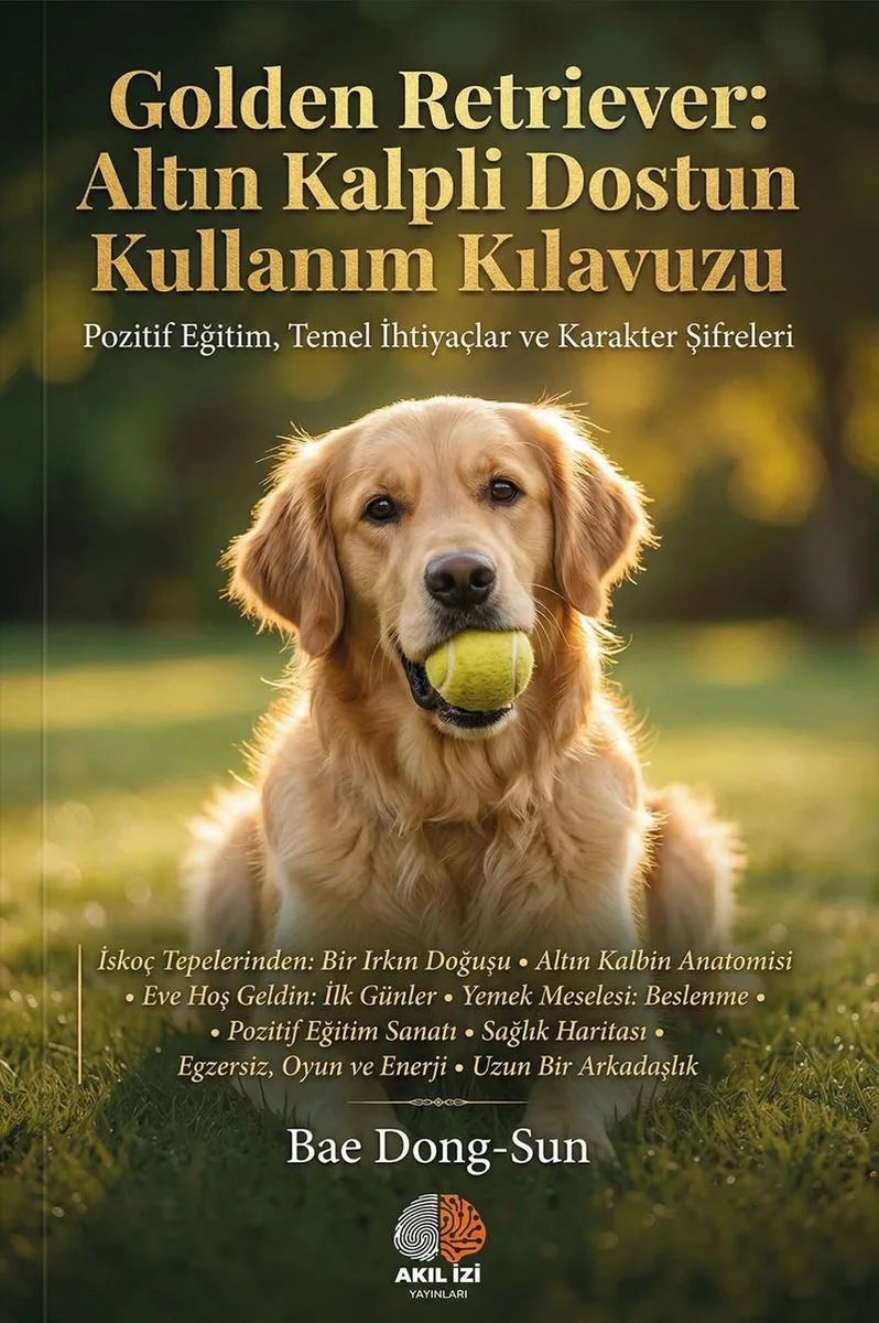 Golden Retriever Altın Kalpli Dostun Kullanım Kılavuzu