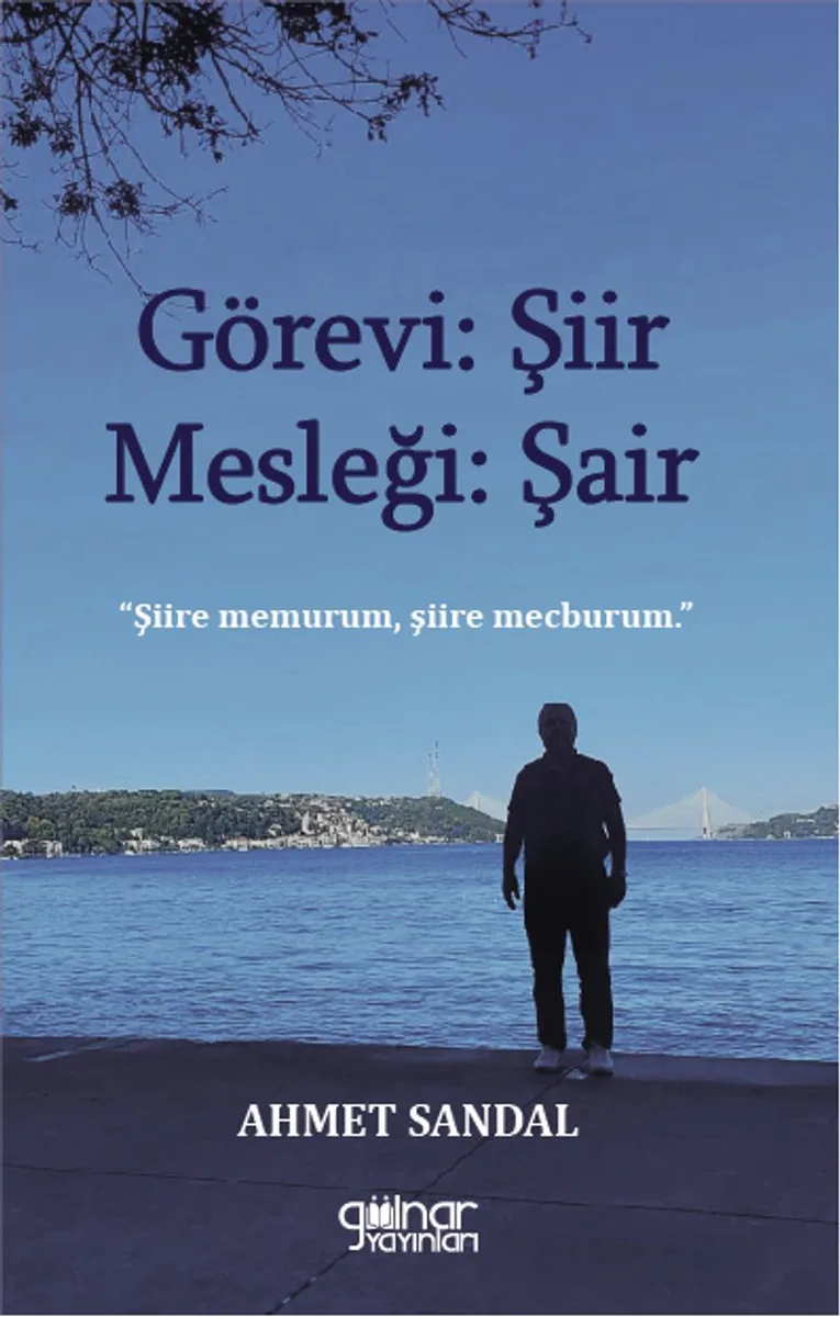 Görevi Şiir Mesleği Şair