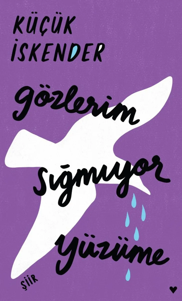 Gözlerim Sığmıyor Yüzüme (Ciltli Baskı)