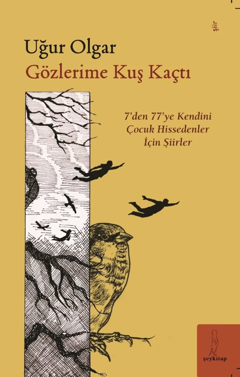 Gözlerime Kuş Kaçtı &ldquo;'7'den 77'ye Şiirler&rdquo;