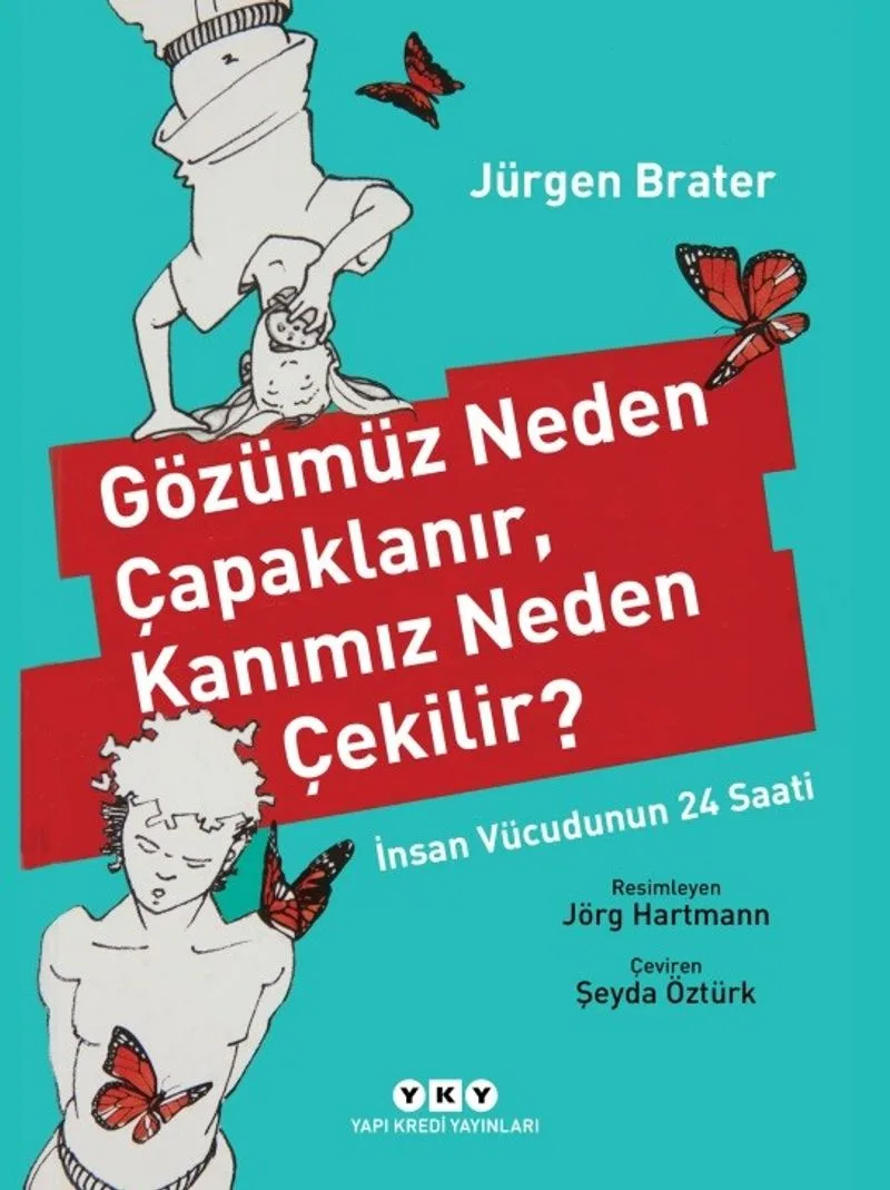 Gözümüz Neden Çapaklanır, Kanımız Neden Çekilir? İnsan Vücudunun 24 Saati