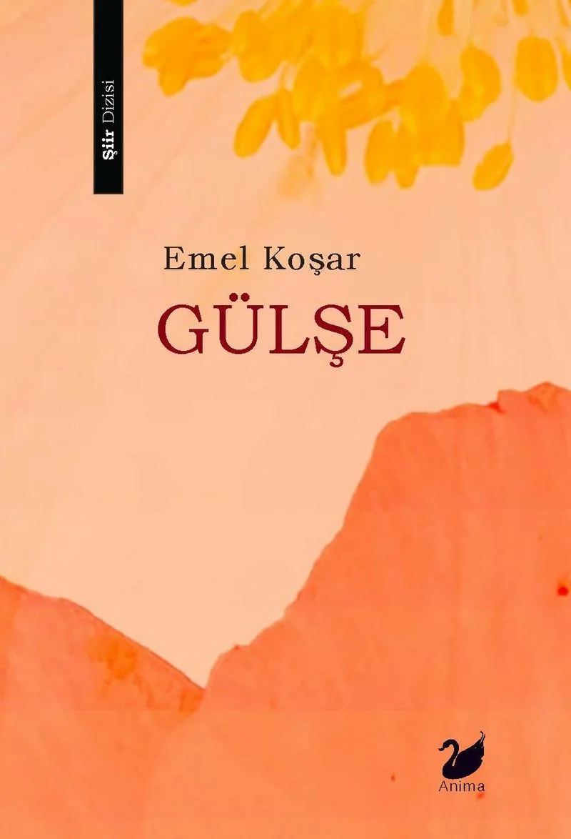 Gülşe