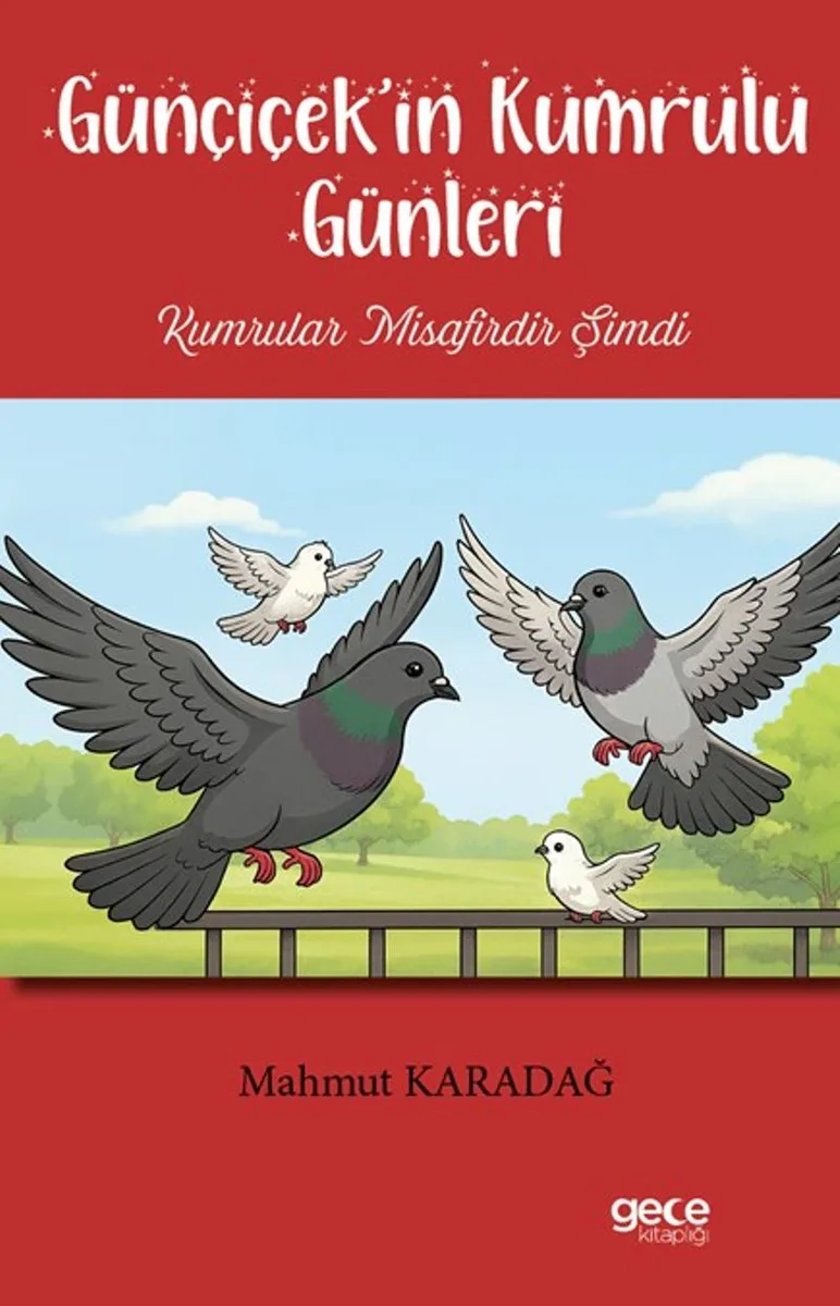 Günçiçek'in Kumrulu Günleri